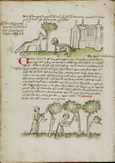 Canine Prints: A Wolf and a Dog under a Tree: Two Men Chopping Trees; Fables
