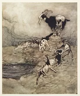 Childrens Illustration Gallery: The Wolf and the Seven Kids, 1909