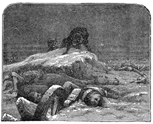 Canine Prints: Wolves on the Battle-Field, from Mrs