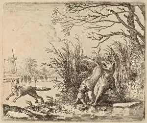 Anthropomorphic Collection: The Wolves on the Ice, probably c. 1645 / 1656. Creator: Allart van Everdingen