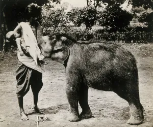 Thailand Southeast Asia Prints: A woman and a child; the woman is suckling a baby white elephant, c1870s. Creator: Unknown