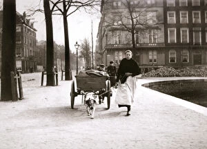 Dogcart Gallery: Woman with dogcart, Rotterdam, 1898.Artist: James Batkin