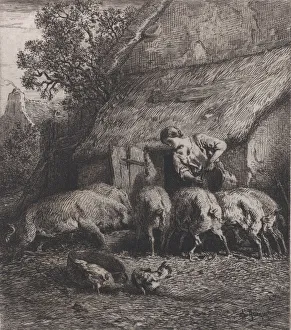 Herdswoman Prints: Woman Feeding Pigs, 1850. Creator: Charles Emile Jacque