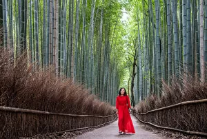 Bamboo Gallery: Woman in Red. Creator: Dorte Verner