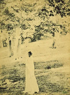 Platinum Prints 1900 Gmgpc Prints: Woman standing in a park, trees in background, c1900. Creator: Eva Watson-Schutze