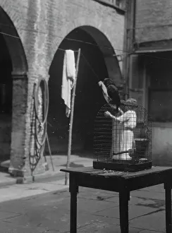 Woman working in a courtyard, New Orleans, between 1920 and 1926. Creator: Arnold Genthe