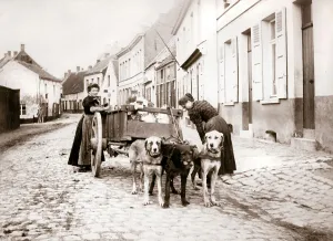 Batkin Prints: Women and dogcart, Antwerp, 1898. Artist: James Batkin