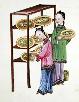 Women feeding silkworms on mulberry leaves, 19th century