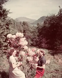 Holiday Prints: Women with rhododendrons, Derwentwater