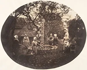 Louis Pierre Theophile Prints: [Women Stacking Carrots], 1854-56. Creator: Louis-Pierre-Theophile Dubois de Nehaut