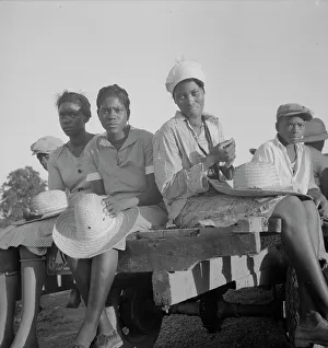 Plantation Worker Prints: Women being transported from Memphis