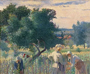 Henri Edmond 1856 1910 Prints: Women Tying the Vines. Artist: Cross, Henri Edmond (1856-1910)
