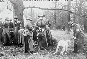 England United Kingdom Prints: Women's Sick and Wounded Convoy Corps