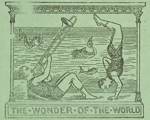 Scrap Book Prints: The Wonder of the World, 1891. Creator: Unknown
