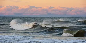 Panoramic Gallery: Wondrous Sea. Creator: Eve Turek