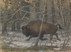 Bison Prints: The wood bison. Artist: Tichmenev, Evgeny Alexandrovich (1869-1934)