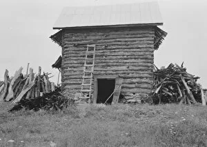 Sharecropper Gallery: Wood stacked up preliminary to firing the tobacco, Person County, North Carolina, 1939