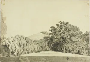 Joseph Wright Prints: Wooded Landscape, 1754/97. Creator: Joseph Wright of Derby