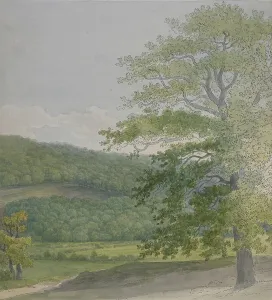 Wooded landscape, 1790s-1820s. Creator: John White Abbott