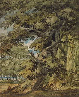 Girtin Thomas Prints: A Wooded Landscape, c1752. Creator: Thomas Girtin