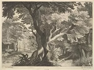 Brueghel Collection: Wooded landscape. Creator: Raphael Sadeler
