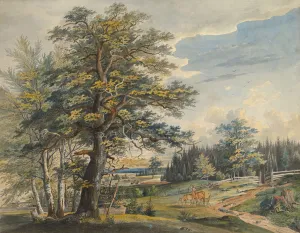 Stag Gallery: Wooded Landscape with Stag, 1800-1877. Creator: Carl August Lebschee