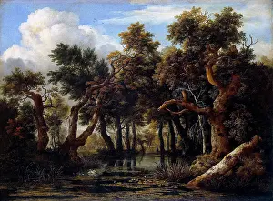 Pond Prints: A Wooded Marsh, 1665. Creator: Jacob van Ruisdael