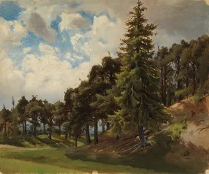 Wooded mountainside. Creator: Johan Knutson