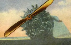 Euge Prints: Wooden aircraft propeller made by the Schwarz Propeller-Werk company
