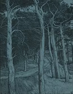 Woodland, c1912. Artist: Willem Wenckebach
