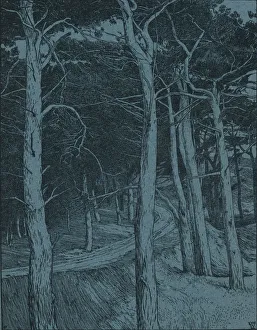 Studio Volume 57 Prints: Woodland, c1912. Artist: Willem Wenckebach