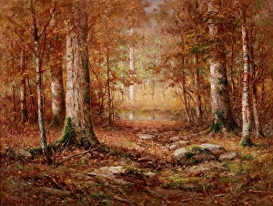 Autumnal Prints: Woodland, Northern Michigan, 1902. Creator: John Elwood Bundy