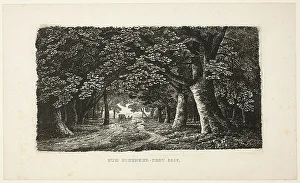 Schinkel Karl Friedrich Prints: Woodland Path with a Coach, 1857. Creator: Karl Friedrich Schinkel