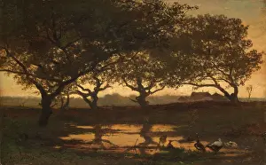 Hague School Prints: Woodland Pond at Sunset, c1862. Creator: Bilders, Gerard (1838-1865)