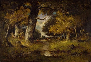 Forest Collection: Woodland Scene, 1876. Creator: Narcisse Virgile Diaz de la Pena