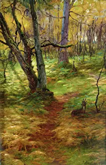 Woodland Scene, c1900s. Creator: Joseph Farquharson