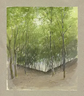 Valley Prints: Woodland scene in a valley bottom, 1859. Creator: Carl Theodor Reiffenstein
