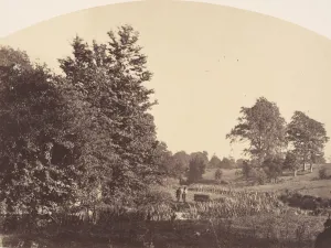 The Woodland Stream, 1856. Creator: Plunket