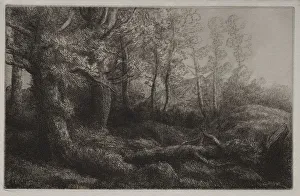 A Woodland Study. Creator: Alphonse Legros (French, 1837-1911)