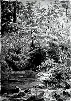 In The Woods, 1889. Creator: Louis Michel Eilshemius