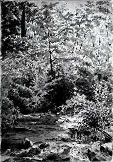 Louis M Eilshemius Prints: In The Woods, 1889. Creator: Louis Michel Eilshemius