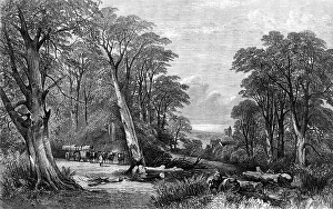 Ox Cart Prints: The Woods in Autumn, by Henry Jutsum