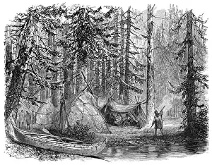 The Woods before the Emigrant, 1900