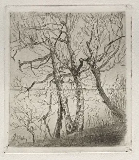 Otto H Bacher American Prints: Woods by the Lake, 1878. Creator: Otto H. Bacher (American, 1856-1909)
