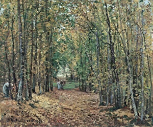 Images Dated 31st October 2013: The Woods at Marly, 1871. Artist: Pissarro, Camille (1830-1903)