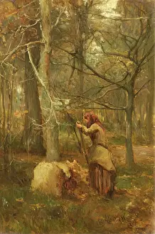 Teens Prints: In the Woods at Muthill, Perthshire, 1880 - 1886. Creator: James Lawton Wingate