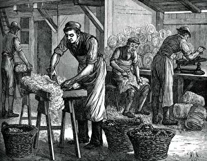 Textile Industry Gallery: Wool sorters, c1880