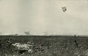 The Woolly Bear. (1919). Creator: Unknown