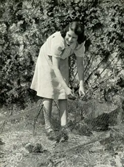 Vegetable Garden Prints: At Work in Her Garden - Windsor, 1941, 1947. Creator: Unknown