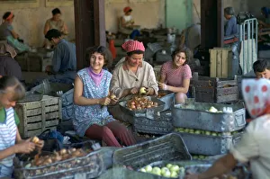 Republic Of Hungary Prints: Workers at a factory preparing vegetables. Artist: CM Dixon